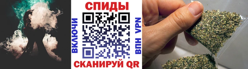 Бутират буратино  Торопец 