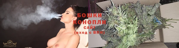 ПСИЛОЦИБИНОВЫЕ ГРИБЫ Нягань