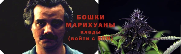apvp Няндома
