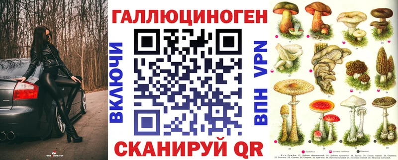 Галлюциногенные грибы Psilocybe  Торопец 